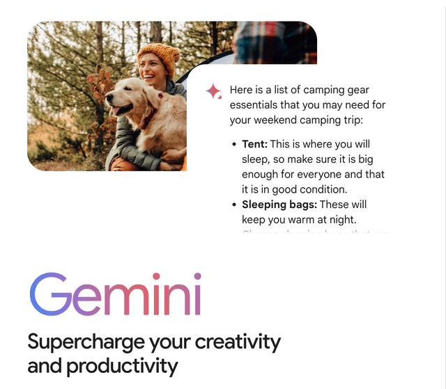 Gemini